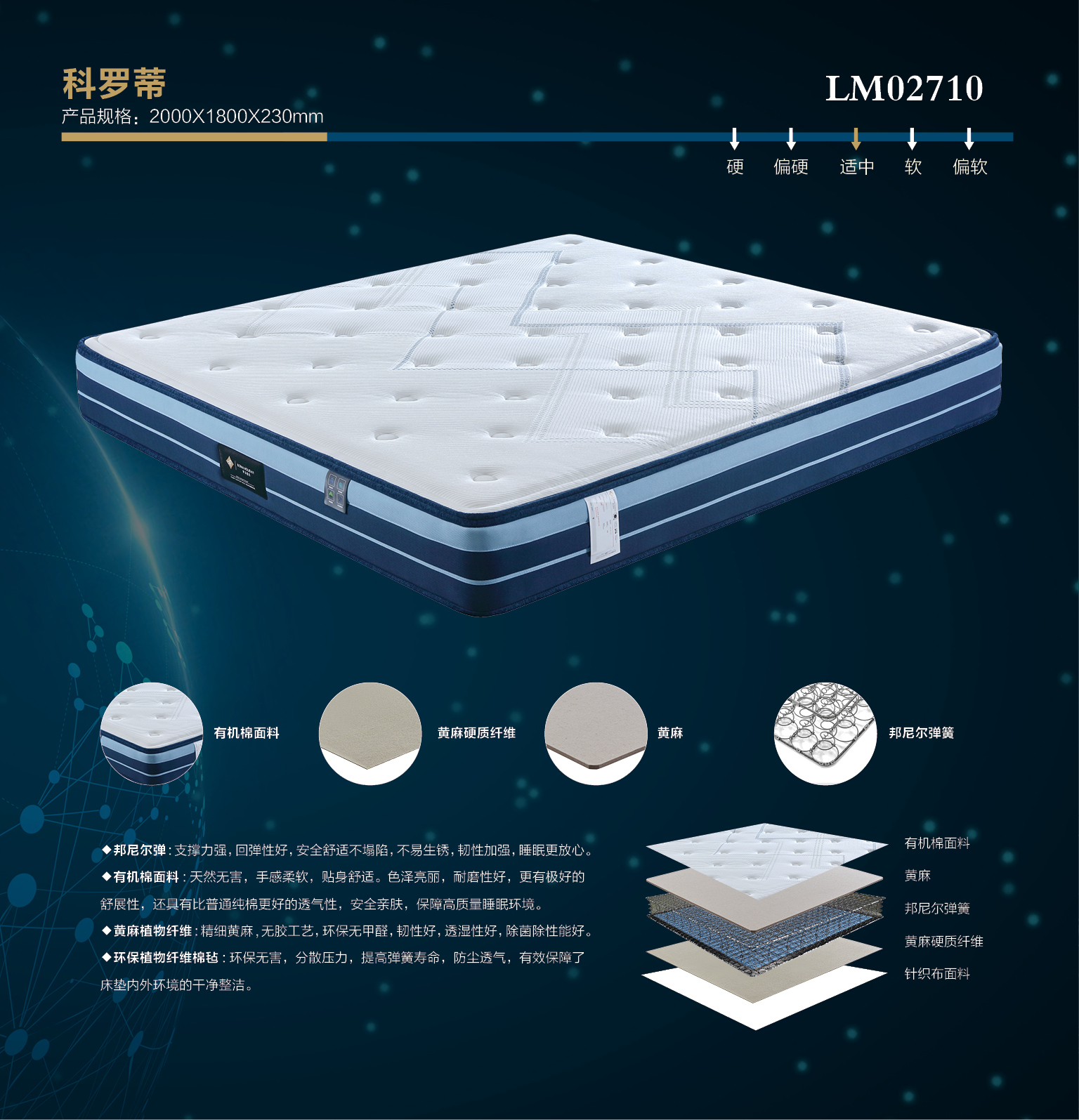 科羅蒂